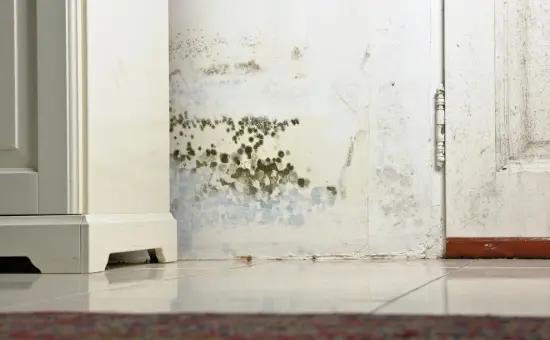Picture representing 5 Unexpected Ways Your Home Loses Value