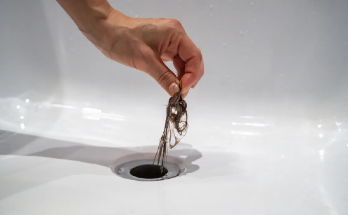 Picture representing The Most Common Causes of Blocked Drains and How to Prevent Them